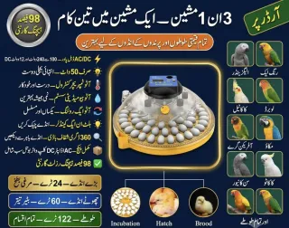 12 24 48 Eggs AC/DC Parrot Full Auto Incubator