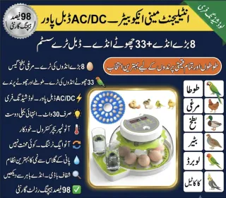 8 18 Eggs AC/DC Parrot Full Auto Incubator — Double Tray