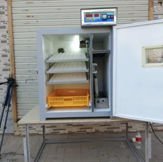 352 Chicken Eggs Fully Automatic Incubator
