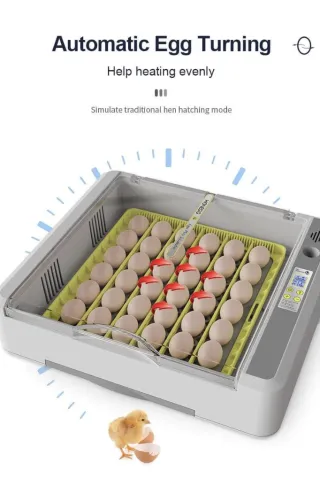 36 Eggs Parrot Auto Incubator