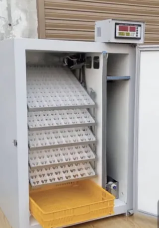 528 Chicken Eggs Fully Automatic Incubator