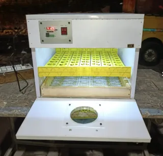 56 Eggs Semi / Fully Automatic Incubator