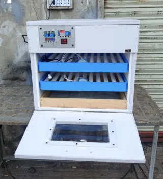 80 Eggs Automatic Incubator
