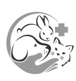 Ahmed Veterinary Clinic