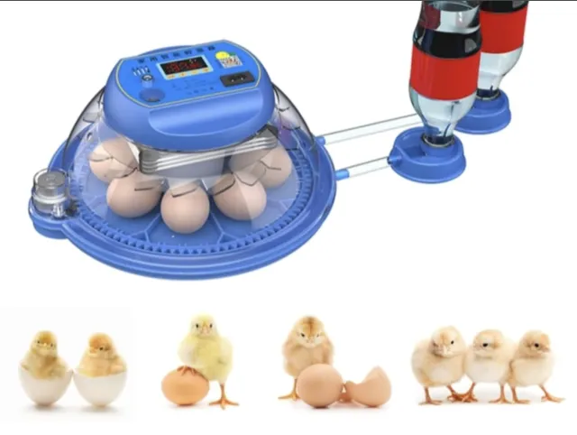 8 Eggs AC/DC Auto Incubator — Double Tray (3 Sizes)