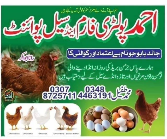Ahmad Poultry Farm