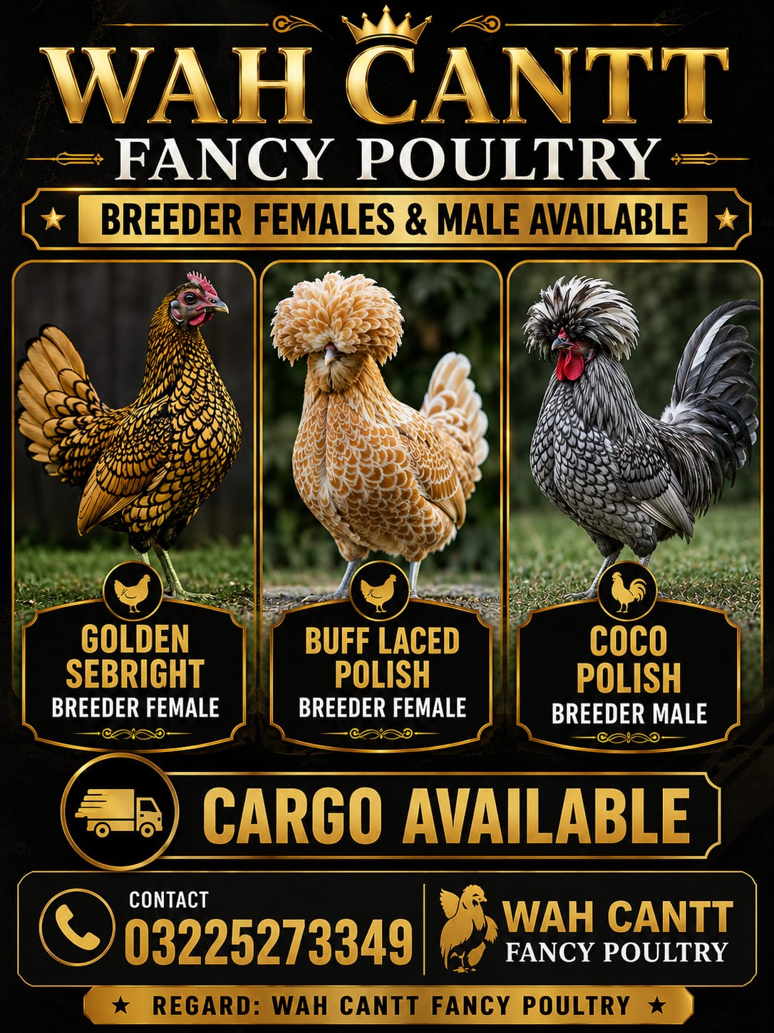 Wah Cantt Fancy Poultry