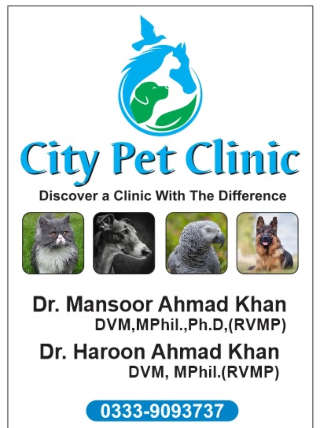 City Pet Clinic