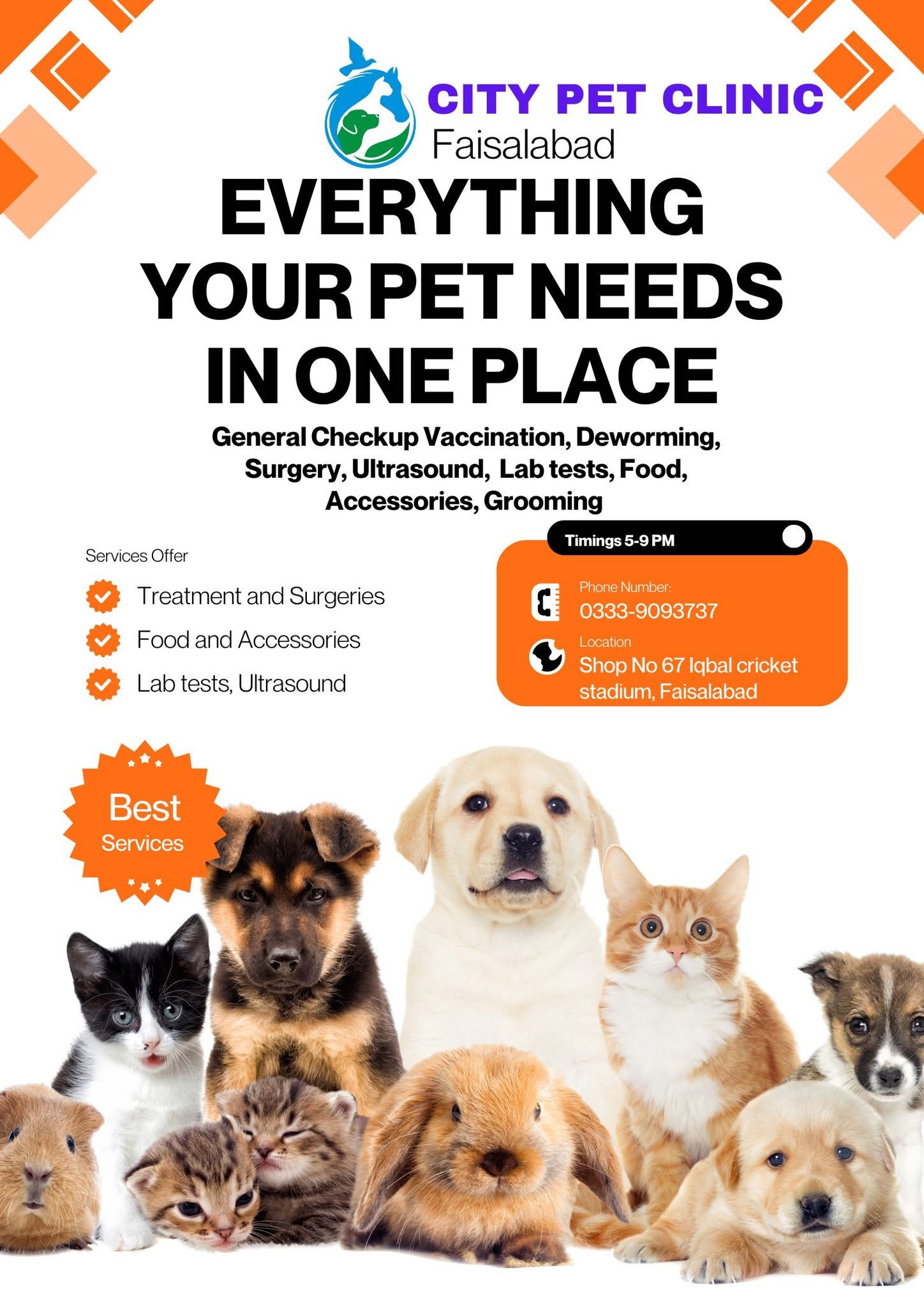 City Pet Clinic
