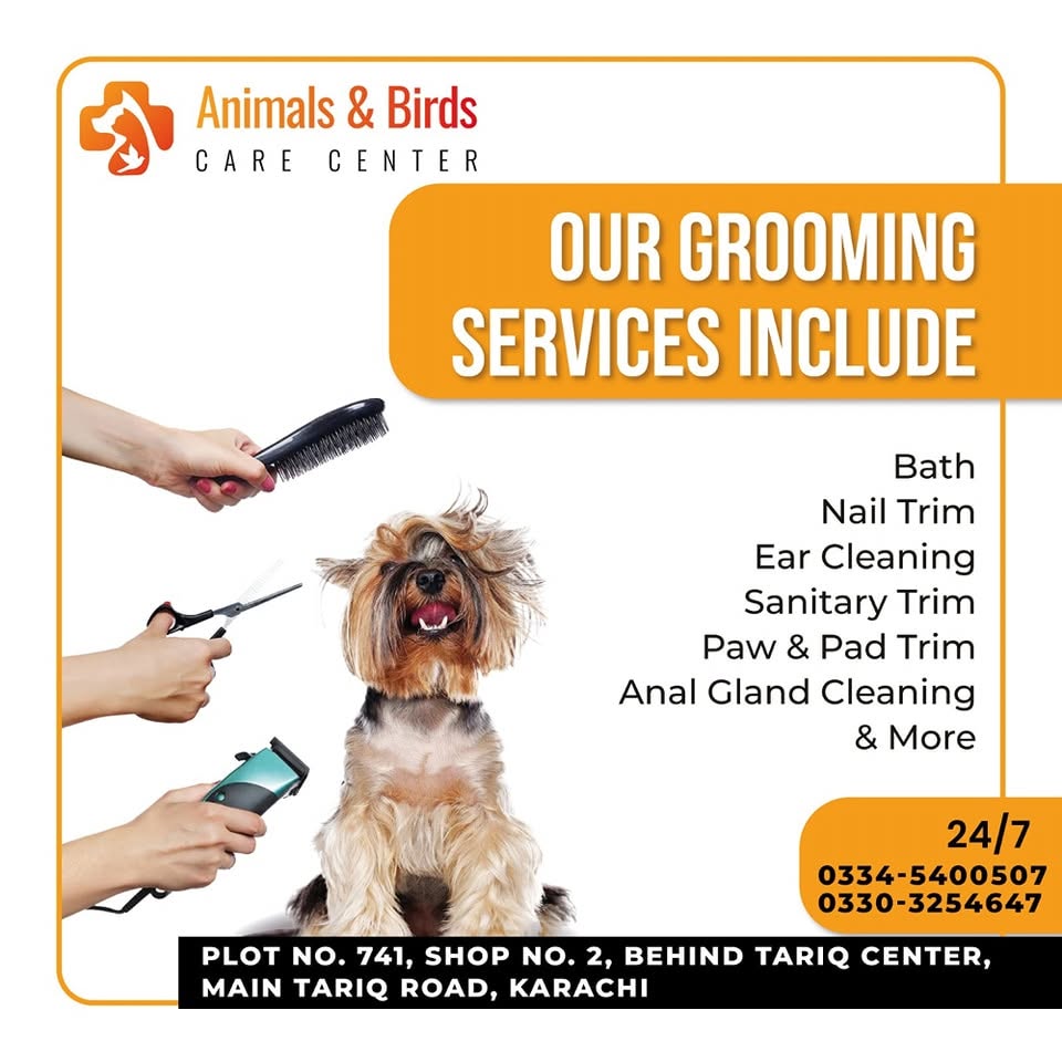 Animals & Birds Care Center